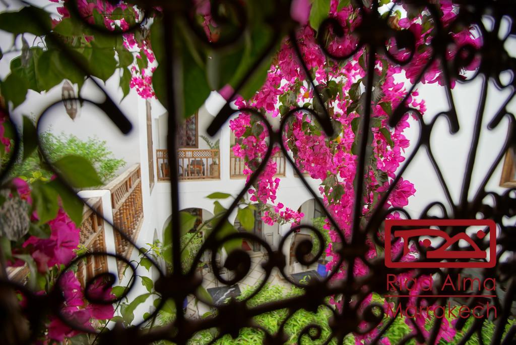 Riad Alma Marrakesh Exterior photo